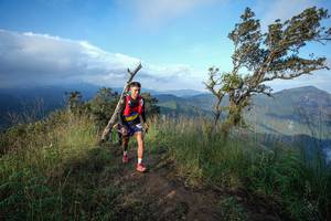 BIB: 
                            <button type="button" onclick="openModal(22442960)" class="btn btn-primary btn-sm float-right btn-popup" data-toggle="modal" data-target=".modal-high-quality">
                        <i class="fas fa-shopping-cart"></i> Add to Cart
                    </button>
                                            <button type="button" onclick="isThisMe(22442960, true)" class="btn btn-success btn-sm float-right btn-popup btn-isme hidden" data-toggle="tooltip" data-placement="bottom" title="นี่คือรูปของคุณใช่ไหม คลิกที่นี่เพื่อเอาเข้าอัลบั้ม">
                        <i class="fas fa-plus"></i> Add to album
                    </button>
                    <button type="button" onclick="isThisMe(22442960, false)" class="btn btn-warning btn-sm float-right btn-popup btn-isnotme hidden">
                        <i class="fas fa-ban"></i> Remove from album
                    </button>